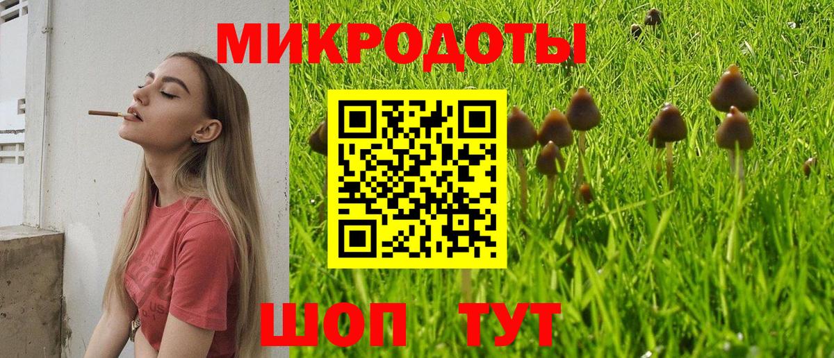 Псилоцибиновые грибы Magic Shrooms  сколько стоит  Дубна  Галлюциногенные грибы ЛСД  Вход с VPN 
